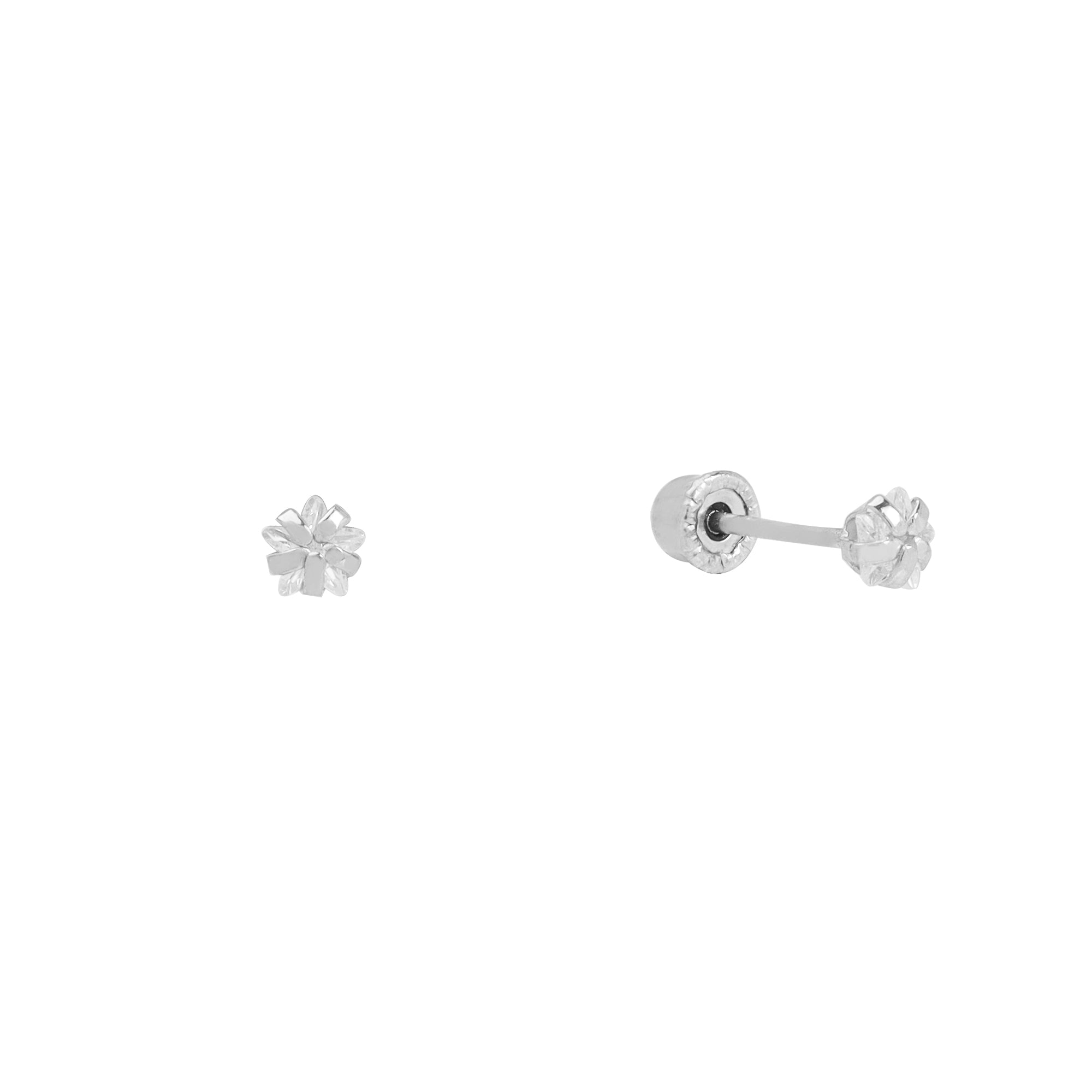 Broquel estrellita blanca