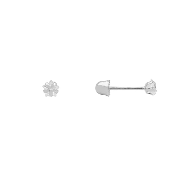 Broquel estrellita blanca
